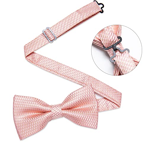 DiBanGu Light Blue Bow Tie and Suspenders for Men 6 Clips Adjustable Y Braces Paisley Pocket Square Cufflinks