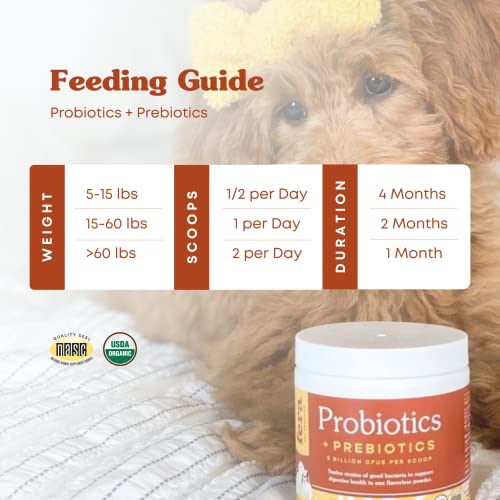 Fera Pets Postbiotics Plus for Dogs– Vet Created Dog Prebiotics & Postbiotics Supplement for Your Pet’s Digestive Health & Immune Support – 120 Scoops
