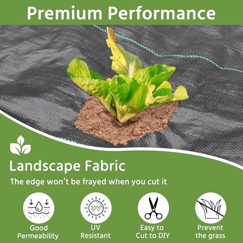 Pattiumo Weed Barrier Landscape Fabric 3x180FT 3.2oz Garden Weed Barrier Fabric Heavy Duty Woven Geotextile Fabric Weed Blocker Fabric Driveway Fabric Ground Cover Weed Barrier Mat Weed Control Fabric