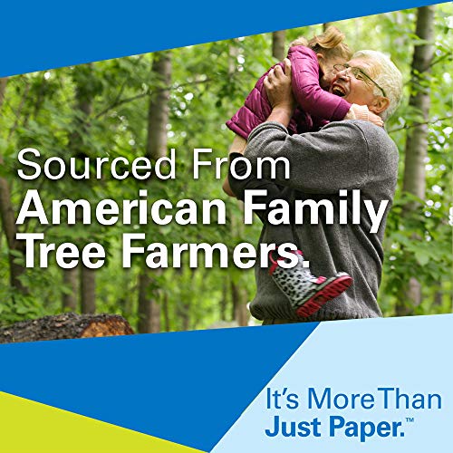 Hammermill Printer Paper, Multipurpose Inkjet Paper 24 lb, 8.5 x 11 - 1 Ream (500 Sheets) - 96 Bright, Made in the USA, 105050R