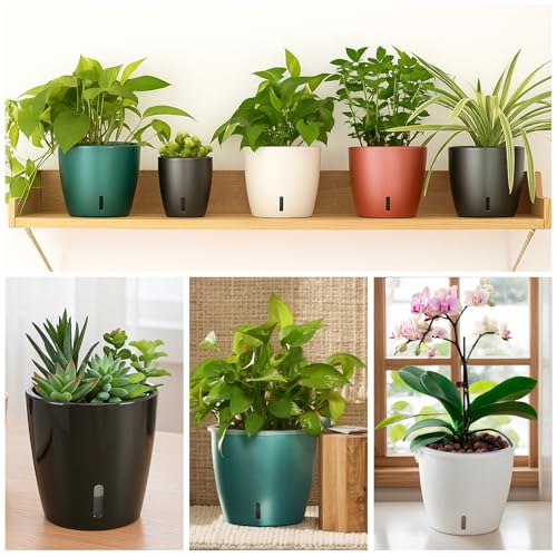 KvyusFlourish Self Watering Pots for Indoor Plants, 6-Pack 6.7'' Self Watering Planter with Drainage Holes, Small African Violet Pots with Water Indicator, Clear Wick Orchid Pot, White