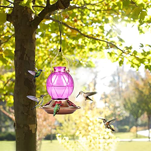 BOLITE Hummingbird Feeder, Glass Hummingbird Feeders for Outdoors Hanging, Hand Blown Glass, Five Feeding Ports with Perch, 20 Ounces, Leak Proof, Red