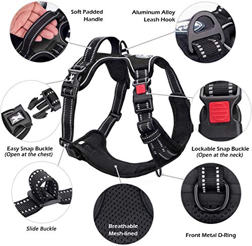PoyPet No Pull Dog Harness, No Choke Reflective Dog Vest, Adjustable Pet Harnesses with Easy Control Padded Handle for Small Medium Large Dogs(Tumalo Teal,S)