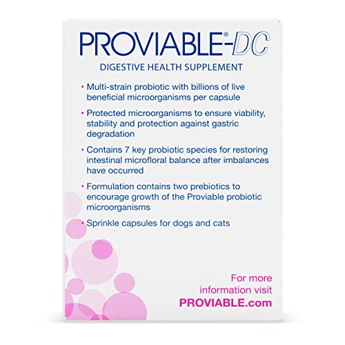 Nutramax Proviable Digestive Health Supplement Multi-Strain Probiotics and Prebiotics for Cats and Dogs - With 7 Strains of Bacteria, 30 Capsules