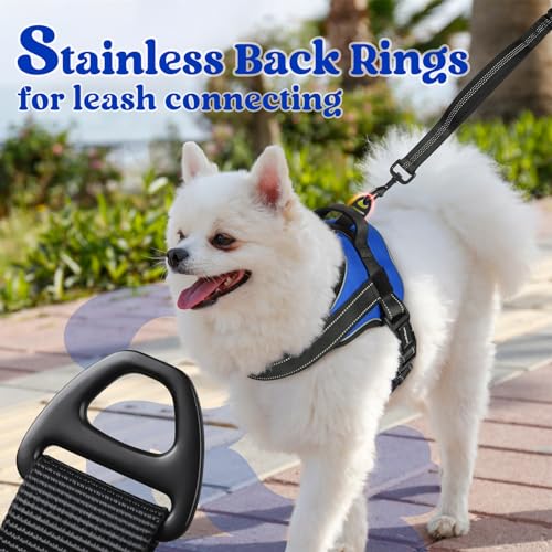 rabbitgoo Dog Harness Small Sized, No Pull No Choke Pet Vest, Easy Wearing with One Buckle, Reflective, Adjustable Pet Harness with Molle for Walking, Training, Blue, S