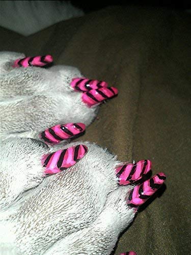 Warren London Pawdicure Polish Pen - Non-Toxic Dog Nail Polish Pen