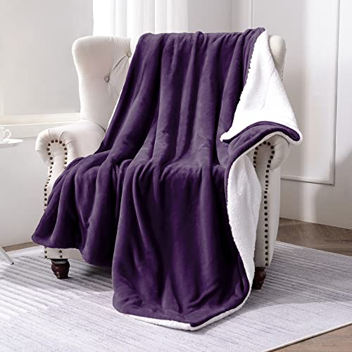 SOCHOW Sherpa Fleece Throw Blanket, Double-Sided Super Soft Luxurious Plush Blanket Twin Size, Malachite Green, 60x80 inches