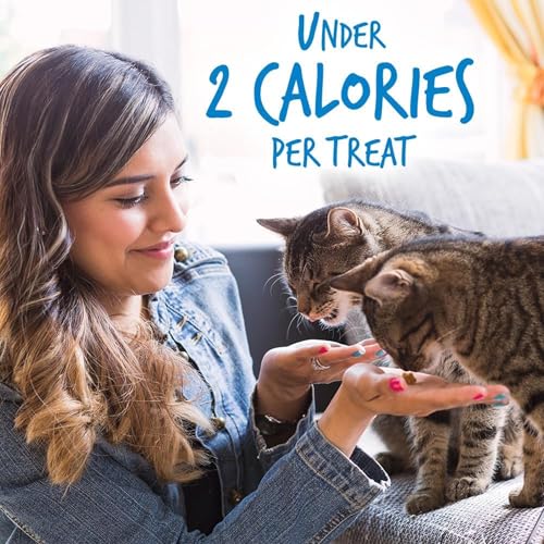 Fruitables Cat Treats – Crunchy Treats For Cats – Healthy Low Calorie Treats Packed with Protein – Free of Wheat, Corn and Soy – Made with Real Chicken with Blueberry – 2.5 Ounces