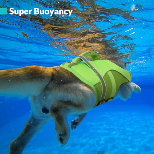 Queenmore Dog Life Jacket, Adjustable Ripstop Dog Life Vest for Swimming Boating, Dog Lifesaver with Superior Buoyancy and Rescue Handle, Dog Swimming Vest for X-Small Dogs(Green,XS)