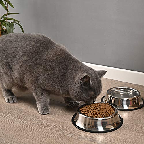 2Packs Stainless Steel Dog Bowl with Anti-Skid Rubber Base for Small/Medium/Large Pet, Perfect Dish, Pets Feeder and Water Choice Puppy Cat Kitten (8oz)