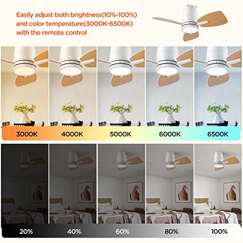 TALOYA Small Ceiling Fans with Lights and Backlight, 32 inch Ceiling Fan with Remote Control, Quiet Reversible DC Motor, 5 CCT Seleactable Modern Ceiling Fans for Bedroom Dining Room Patio White