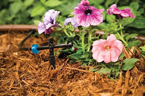 Rain Bird SW05-10PS Drip Irrigation Spot Watering Dripper/Emitter, 0.5 (1/2) Gallon Per Hour, 10-Pack & SW10-30PS Drip Irrigation Spot Watering Dripper/Emitter, 1 Gallon Per Hour, 30-Pack