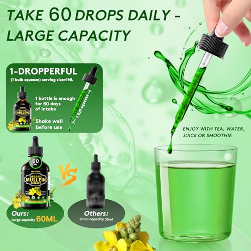 2 Fl oz Mullein Leaf Extract - Organic Mullein Leaf Liquid Drops Tincture Supplement High Bioavailability for Women, Men 98% Absorption, Herbal Goodness -Big Capacity (60ML)