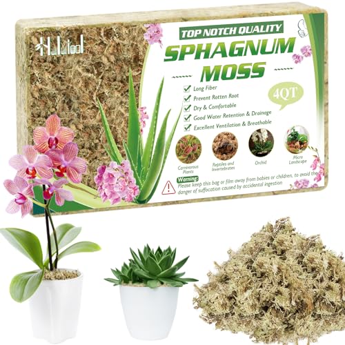 Halatool 3OZ Natural Sphagnum Moss for Plants 2 QT Premium Peat Moss Dried Long Fiber Orchid Moss for Orchid Repotting Carnivorous Succulents Garden Flowers Crafts Terrarium and Reptiles