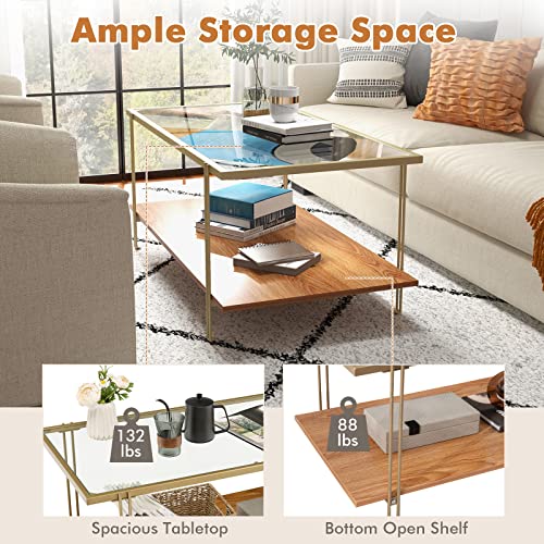 Tangkula Glass Coffee Table, 40In Mid Century 2 Tier Rectangle Coffee Table, Tempered Glass Top & Wood Storage Shelf, Steel Frame, Adjustable Feet, Modern Cocktail Accent Table for Living Room (Gold)