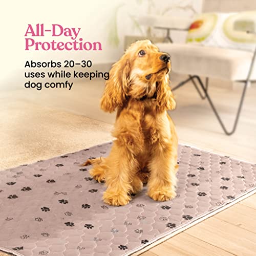 Super Absorbent Washable Pee Pads for Dogs - 2-Pack Superior Reusable Puppy Pads Pet Training Pads –100% Waterproof Dog Pee Pad Protects Against Urine Leakage Non-Slip Grip Prevents Slipping& Bunching