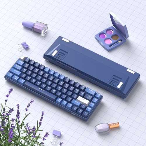 MageGee Portable 60% Mechanical Gaming Keyboard, Hot Swappable Blue Whale Switch, RGB Backlit Compact 68 Keys Mini Wired Gradient Custom Keyboard for Windows Laptop PC, with Silencing Cotton, Black