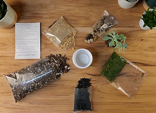 TerraGreen Creations Succulent Planter Kit - Terrarium Kit with Succulent Soil, Gravel, Pebble, Moss,
