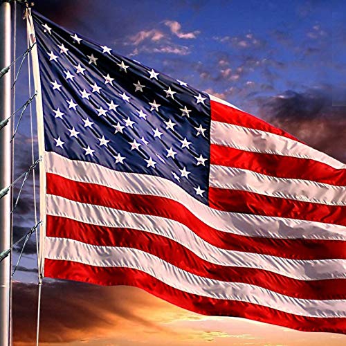 Amgate Wire Center Flagpole Rope 1/4" x 100 feet - Braided Polyester Line with Steel Center Marine Grade Flag Pole Halyard Rope