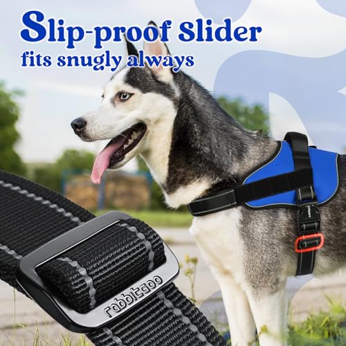 rabbitgoo Dog Harness Small Sized, No Pull No Choke Pet Vest, Easy Wearing with One Buckle, Reflective, Adjustable Pet Harness with Molle for Walking, Training, Blue, S