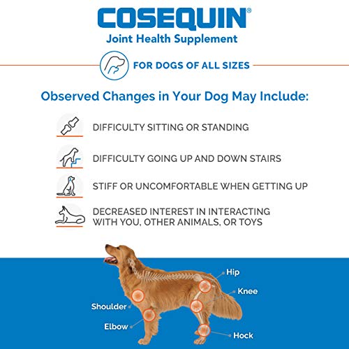 Nutramax Laboratories Cosequin Maximum Strength Joint Health Supplement for Dogs - With Glucosamine, Chondroitin, and MSM, 60 Chewable Tablets