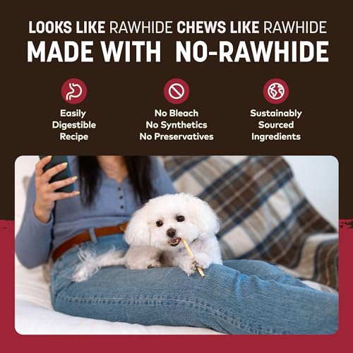 Earth Animal No Hide Stix Beef Flavored Natural Rawhide Free Dog Chews Long Lasting Chew Sticks |Treats for Small Dogs and Cats | Great for Aggressive Chewers 1.6 Oz