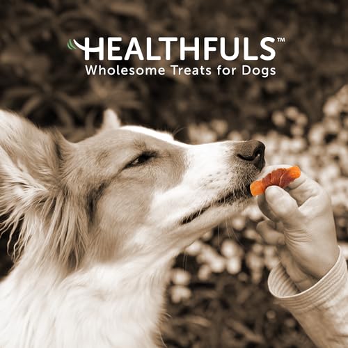 Healthfuls Chicken Wrapped Sweet Potato Dog Treats, 16oz