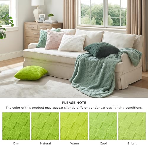 Bedsure Throw Pillow Covers 18x18 Inch - Pack of 2 Sage Green Luxury Soft Cozy Fluffy Fuzzy, Checkered Pillow Cover, Home Decor for Sofa Couch Bed