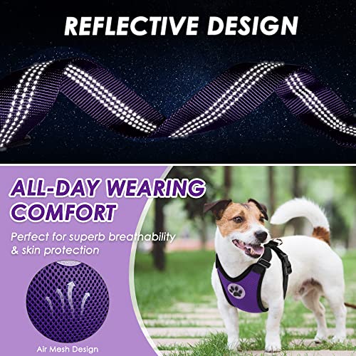 Lukovee Dog Seat Belt for Car, Adjustable Dog Car Harness for Large Medium Small Dogs, Soft Padded & Breathable Mesh Dog Seatbelt with Car Vehicle Connector Strap (Rose Red,Large)