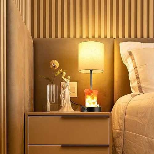 Dott Arts Touch Table Lamps with USB Ports, 3-Way Dimmable Bedside Nightstand Lamp with Salt Lamp,Table Lamps for Living Room Bedrooms Reading Room,Bulbs Included