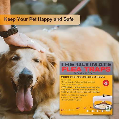 Flea Traps for Inside Your Home 2 Packs, Flea Trap Indoor Pest Control Trapper Insect Killer with Light, Sticky Bed Bug Natural