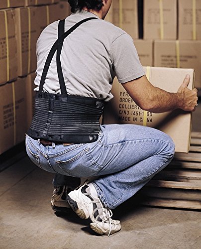 Pyramex Back Support Belt, Small