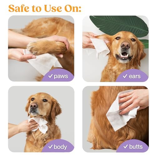 WIPEMATE Lavender Scent Premium Dog & Cat Pet Wipes Cleans Pet Paws, Ears, Fur, Butt, & Anal Gland Wipe No-Rinse Solution Gentle Deodorizing & Hypoallergenic for Small/Medium Pets - 100 Count