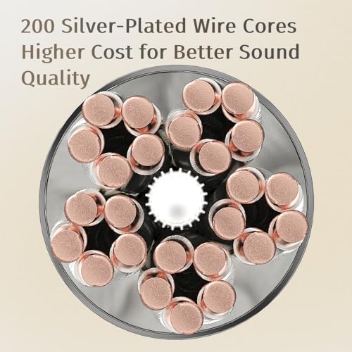 FAAEAL CVJ Earphone Upgrade Cable with 2PIN 0.78mm,OFC Silver-Plated Headphone Wire,2.5/4.4/3.5mm Swappable Plug Earbuds Line for BLON TANGZU 7HZ Kinera Celest Pandamon (0.78mm+2.5/3.5/4.4mm Plugs)