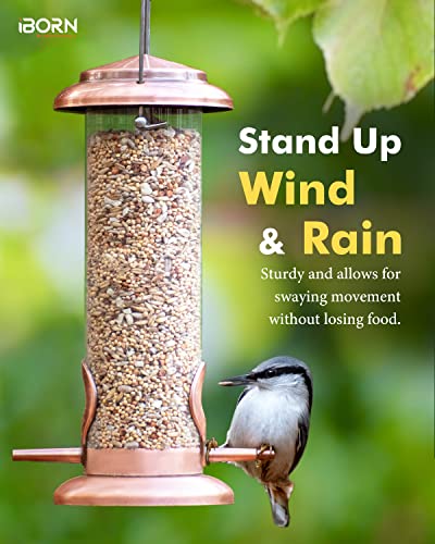 iBorn Metal Bird Feeder Hanging Wild Bird Feeders for Mix Seed Blends Heavy Duty All Metal Finishing, Copper Finish, 8 Inch 2 Port (Seed is not Included)