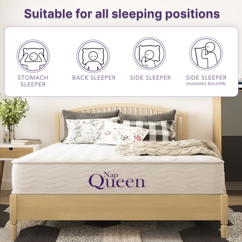 NapQueen 6 Inch Innerspring Queen Size Medium Firm Support Relief Mattress, Bed in a Box, White