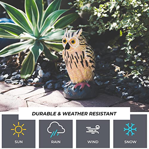 Galashield Owl Decoy to Scare Birds Away | Plastic Owls to Scare Birds Away | Owl Statue for Garden & Outdoors