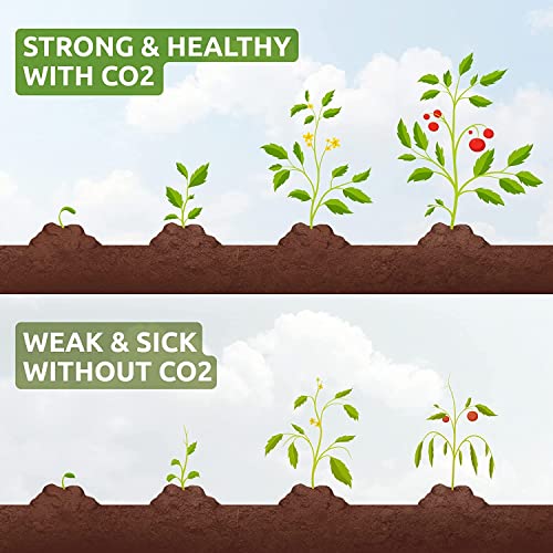 CO2 Boost for Indoor Grow Tent - Ready to Use - Natural Carbon Dioxide CO2 Boost for Indoor Grow Rooms - One XL CO2 Bucket Covers up to an 4'x4’ Area - Pro CO2 XL Bucket