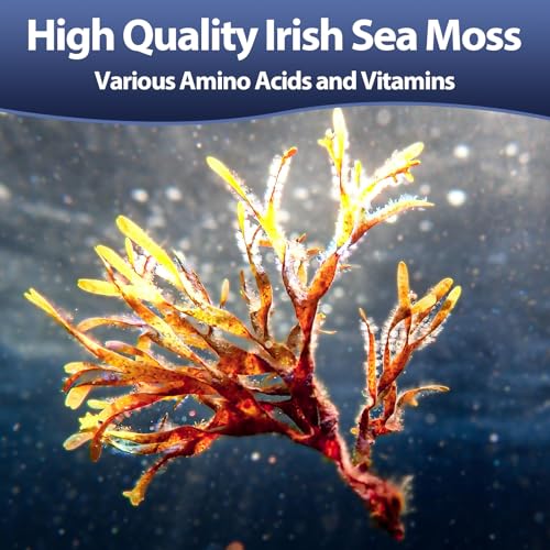 25-in-1 Sea Moss Black Seed Oil Ashwagandha Ginger Shilajit Supplement 18525mg, Sea Moss Capsules with Bladder Burdock Ceylon Cinnamon Berberine ACV Manuka VIT C&D3 for Immune, Gut & Energy, 120 Caps