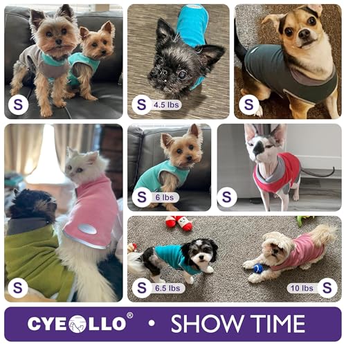 cyeollo 2 Pack Fleece Dog Sweater Pullover Dog Sweatshirt Reflective Lightweight Clothes for Small Dogs Girl Pet Apparel Purple, Grey, M