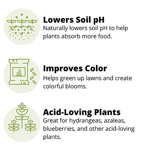 Earth Science Fast Acting Sulfur – Soil pH Reducer, Lowers pH Instantly, Reduces Nutrient Runoff, Improves Growth & Color for Acid-Loving Plants, Long-Lasting Lawn Care Flower Bee Supplement(2.5lb)
