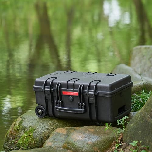 Amazon Basics Hard Camera Case with Wheels, Large, Black, Solid, 22"L x 14"W x 9.8"H