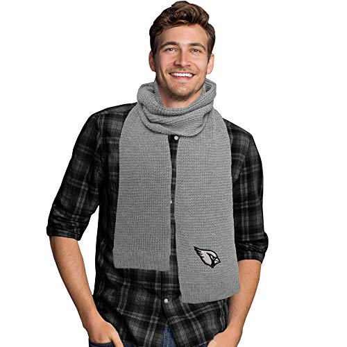 Littlearth unisex-adult NFL Atlanta Falcons Waffle Knit Scarf, Grey, 70" x 8"