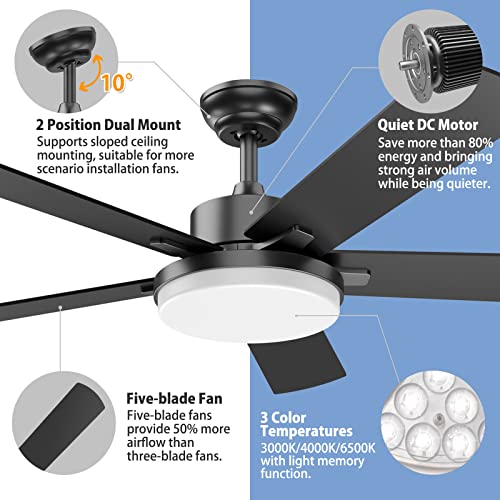 Regair Ceiling Fans with Lights, 52 Inch Ceiling Fan with Lights and Remote Control, Modern Black Ceiling Fan with Light for Living Room Farmhouse Bedroom
