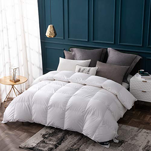 Globon Goose Down Comforter Queen Size All Season Down Duvet Insert,400 Thread Count Ultra Soft Noiseless Shell,800 Fill Power with Corner Tabs,White