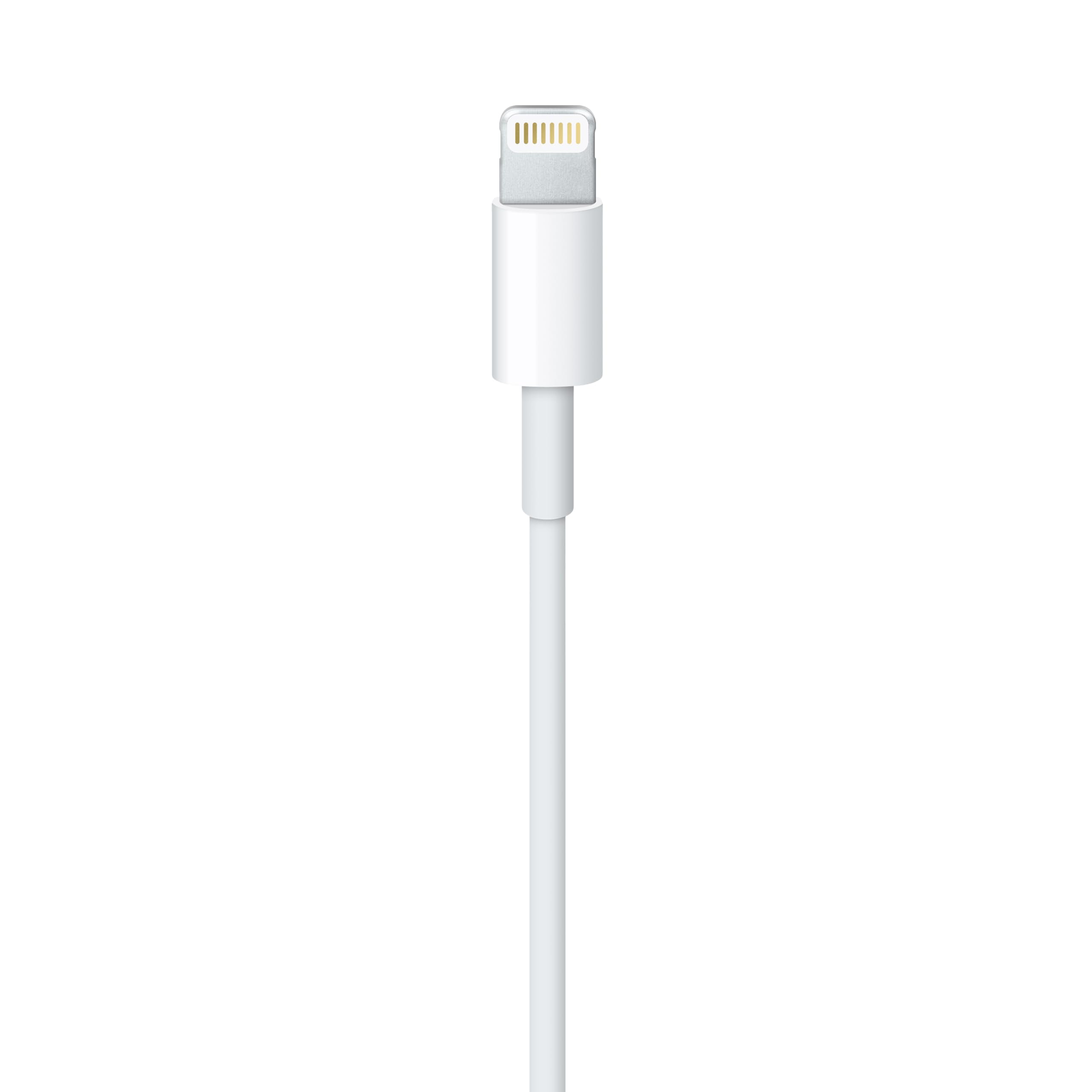 Apple Lightning to USB Cable (1 m)