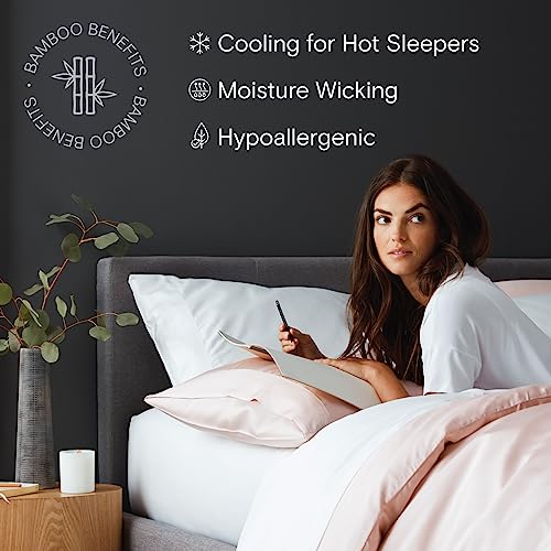 DOZ Duvet Cover Set, 100% Viscose derived from Bamboo, Organically Grown, Buttery Soft, Cooling Duvet Covers, High GSM, 1 Duvet Cover and 1 Pillowcase, 70"x90" (Clay, Twin/Twin XL)