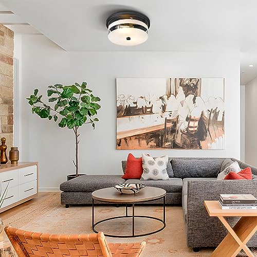 Flush Mount Ceiling Light with Clear Glass Shade, 2-Light Indoor Outdoor Farmhouse Lighting Flush Mount Lights for Kitchen Bedroom Porch Living Dining Room