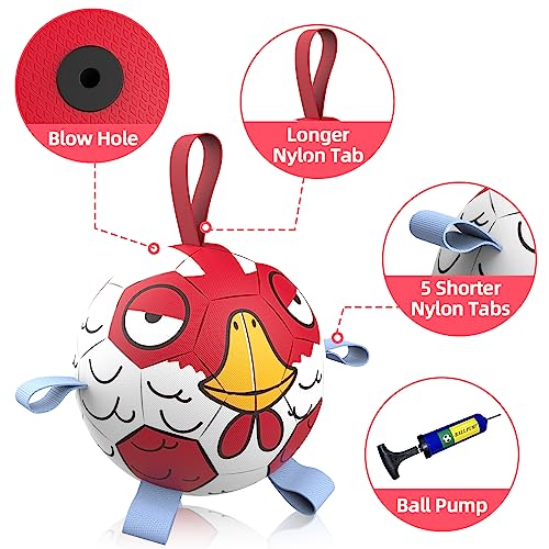 QDAN Dog Toys Soccer Ball with Straps - Durable Dog Balls for Extra Small Dogs, Beach Pool Dog Water Toy, Chicken Dog Toy, Puppy Dog Birthday Gifts, Herding Balls for Dog (5 Inch)
