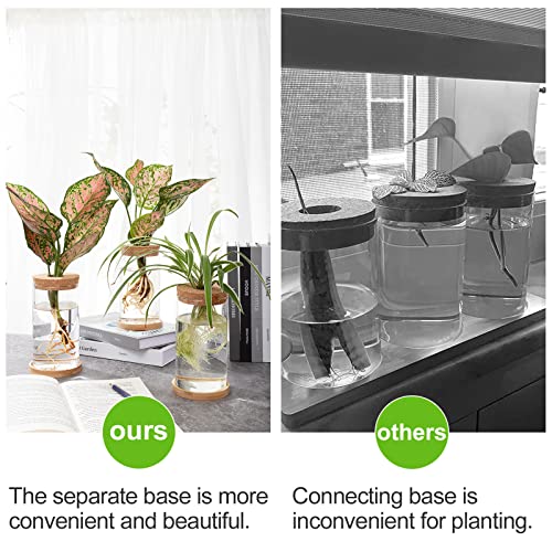 Plants Propagation Station - Desktop Plant Terrarium Glass Hydroponic Vases Water Plant Propagating Jars Gardening Gifts for Women Mom Plant Lovers (3Pcs, Separated Style)